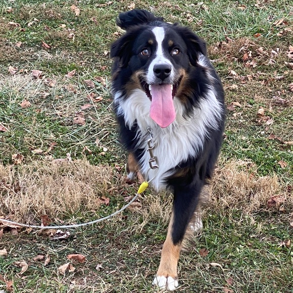 🍄Welcome to Sparrow’s Bubble..my name is Kriss! 🍄 - Picture 9 of 15